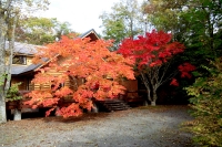 masyuen_autumn_5_0061