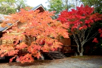 masyuen_autumn_5_0062