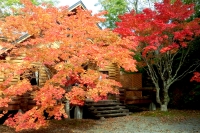 masyuen_autumn_5_0063