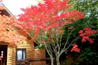 masyuen_autumn_5_0065