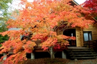 masyuen_autumn_5_0067