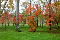 masyuen_autumn_5_0076