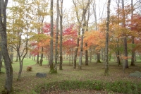 masyuen_autumn_5_0082