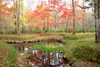 masyuen_autumn_5_0089