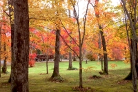masyuen_autumn_5_0092