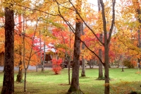 masyuen_autumn_5_0093