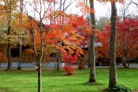 masyuen_autumn_5_0097