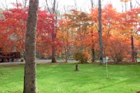 masyuen_autumn_5_0098