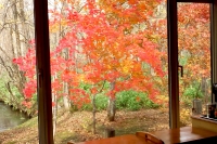 masyuen_autumn_5_0100