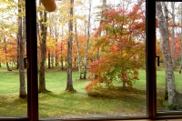 masyuen_autumn_5_0102