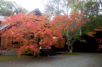 masyuen_autumn_5_0105