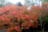 masyuen_autumn_5_0106