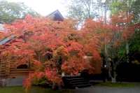 masyuen_autumn_5_0107