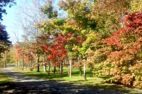 masyuen_autumn_5_0110