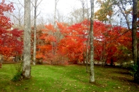 masyuen_autumn_5_0112