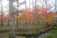 masyuen_autumn_5_0119
