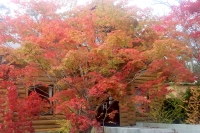 masyuen_autumn_5_0124