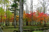 masyuen_autumn_5_0141
