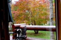 masyuen_autumn_5_0147