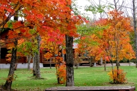 masyuen_autumn_5_0190