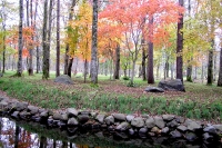 masyuen_autumn_5_0195
