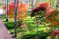 masyuen_autumn_5_0198