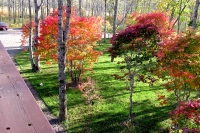 masyuen_autumn_5_0200