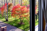 masyuen_autumn_5_0201