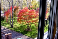 masyuen_autumn_5_0205