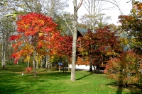 masyuen_autumn_5_0210