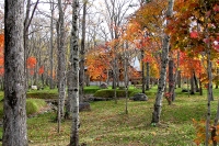 masyuen_autumn_5_0212