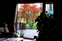masyuen_autumn_5_0213