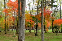 masyuen_autumn_5_0215
