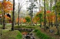 masyuen_autumn_5_0223