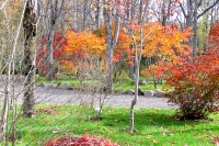 masyuen_autumn_5_0228