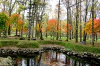 masyuen_autumn_5_0230