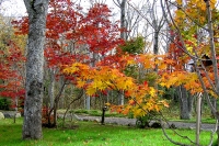 masyuen_autumn_5_0231