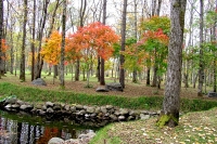 masyuen_autumn_5_0234