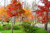 masyuen_autumn_5_0235
