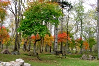 masyuen_autumn_5_0242