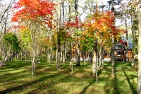 masyuen_autumn_5_0244