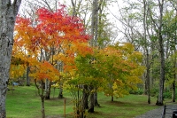 masyuen_autumn_5_0245