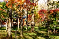 masyuen_autumn_5_0248