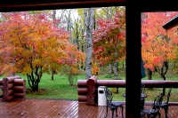 masyuen_autumn_5_0253