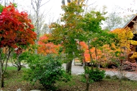 masyuen_autumn_5_0255