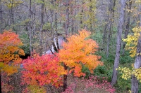 masyuen_autumn_5_0256