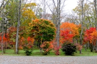 masyuen_autumn_5_0258