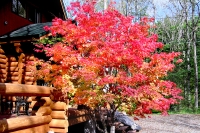 masyuen_autumn_5_0270