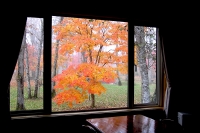 masyuen_autumn_5_0271