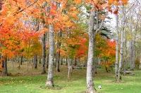 masyuen_autumn_5_0276
